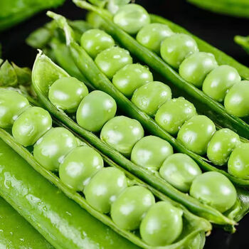 青樱红荔当季嫩豌豆新鲜现摘豌豆荚带壳水果豌豆角颗粒饱满3斤精选