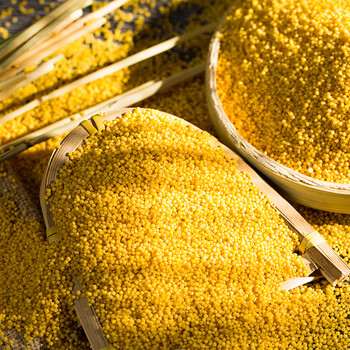 启美佳山西晋城特产鲁村石碾小米5斤装庆日升23年农家小黄米