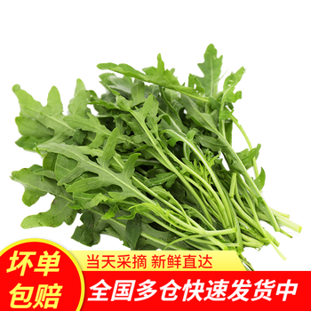 新鲜芝麻菜500g火箭菜沙拉菜芝麻生菜新鲜蔬菜蔬菜沙拉食材