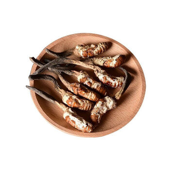 金蝉花公蝉花 雄蝉花个大饱满非中药材野生 250g 公蝉花【图片 价格