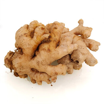 云南生鲜小黄姜老姜沙姜9斤1斤生姜2斤