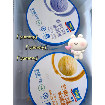 菜欢欢(caihuanhuan)上海麦德龙aka宜客冰淇淋桶装大桶原味香芋抹茶