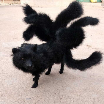 玩具狐仙玩偶小狐狸创意装饰白狐摆件k 中号黑色九尾狐长40cm高14cm