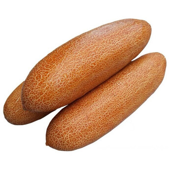 东北老黄瓜农家麻皮老黄瓜种酸黄瓜现摘新鲜精选蔬菜特产当季 现摘