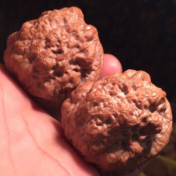 煜庆嘉年云南野生铁核桃玉帝之蛙宫庭蛤蟆唐狮金蟾赤龙疙瘩包 赤龙