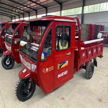 国四电喷汽油三轮摩托车全封闭棚车燃油货运农用 侧方向盘200水冷1