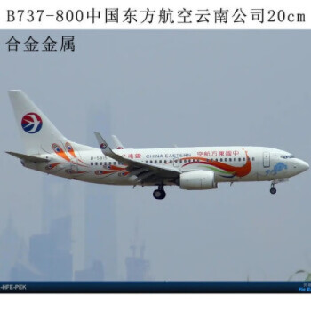 波音737中國東方航空雲南號仿真合金飛機模型帶跑道墊787南航兒童787