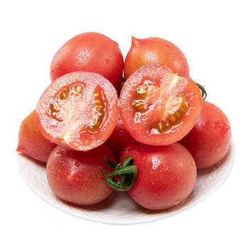 【顺丰速运】福建春桃小番茄 当季新鲜圣女果农家小番茄柿子新鲜水果