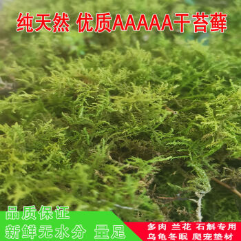 蝴蝶兰专用水苔干苔藓蝴蝶兰花栽培基质水苔营养土多肉石斛种植嫁接乌龟冬眠垫材 Onevan 精选干苔藓 0克 图片价格品牌报价 京东