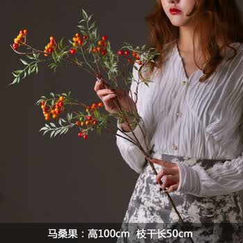 发财果假花仿真花客厅落地乔迁马桑果仿真花客厅大件落地假花摆件大束秋实果实发财果浆果装饰品马桑果 带叶 图片价格品牌报价 京东