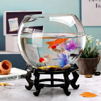 金鱼缸水族箱玻璃小鱼缸桌面创意小型生态家用迷你圆形办公室养鱼儿童