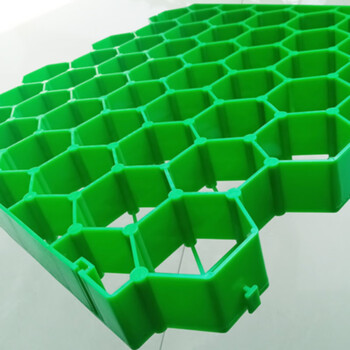 斯得铂  植草格 (全新料50*50*7cm平口)塑料草坪格停车场专用园林绿化