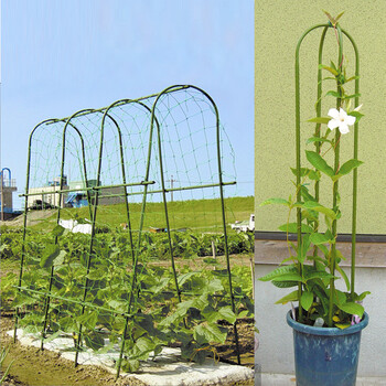 植物攀爬架 园艺支架 葡萄架 黄瓜支架 拱型爬藤架 蔬菜植物支架 1.