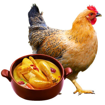松滋农家散养生态土鸡走地鸡肉生鲜滋能量老母鸡1kg