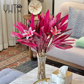 大叶竹水培水养绿植花卉室内客厅 预售 不含瓶 鸿运竹长度70*株