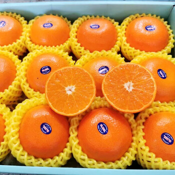 蜜企味礼盒装顺丰2ph澳橘澳洲澳柑当季新鲜水果桔子3斤礼盒装