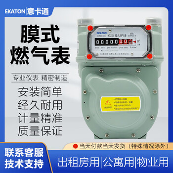 冠兴意卡通家用天然燃气表液化气表煤气表g25l铝壳膜式流量计速发25左