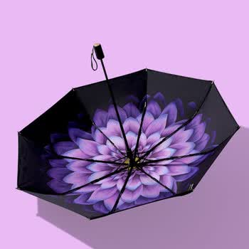 香港banana太阳伞女防紫外线雨伞双层折叠遮阳伞防晒黑胶小黑伞系列