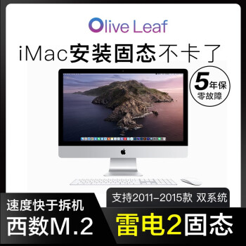 Olive Leafimac̬Ӳ2011-2023Oһ14181419׵2/3/4m.2nvmeϵͳӿ2015 ׵2 M.2֧2011-2015iMac 4TB