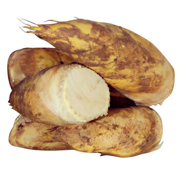 新鲜冬笋春笋切老根高山黄泥笋农家特产时令蔬菜笋 切头大冬笋五(8两