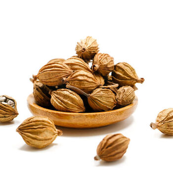 香砂仁食用香料烧菜卤料卤水炖肉麻辣烫火锅香料调料 250克