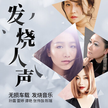 烧人声u盘车载无损音乐hifi试音孙露张玮伽雷婷谭艳童丽陈瑞赵鹏王文