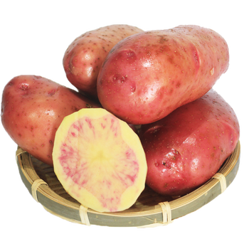 青樱红荔新鲜土豆 丽江紫心洋芋马铃薯 5斤