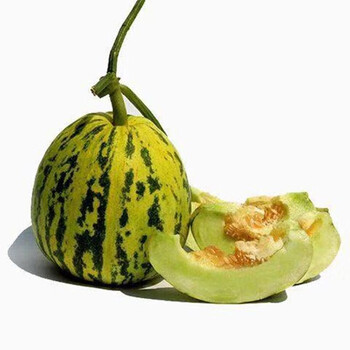 青尊园东北花蕾香瓜新开园八里香甜香瓜白糖罐新鲜水果 净重3斤