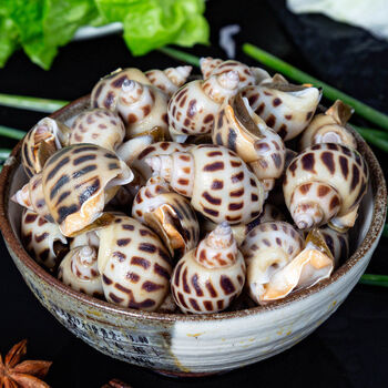 名厨华宴超大花螺24斤新鲜东风螺贝螺花甲扇贝海螺冻品超大已吐沙4斤