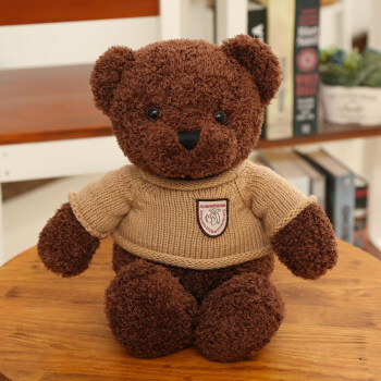 公仔布娃娃毛绒玩具小号送女友生日礼物女生 咖啡色海藻泰迪熊 50厘米