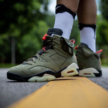 ts jordan 6