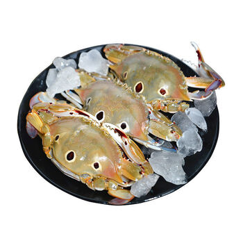 全母全公蟹新鲜野生三点梭子小螃蟹冻品膏蟹 【三眼蟹 50 只】