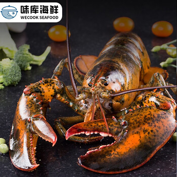 味库wecook销量5w波士顿龙虾鲜活加拿大特大号波龙生鲜650750g只1只