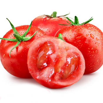 源外园普罗旺斯西红柿 新鲜蔬菜当季10生吃水果沙瓤大番茄 5斤