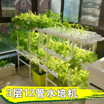 无土栽培设备阳台种菜非神器无土栽培蔬菜水培水耕种植架管道种菜机3层12管加高 大 图片价格品牌报价 京东