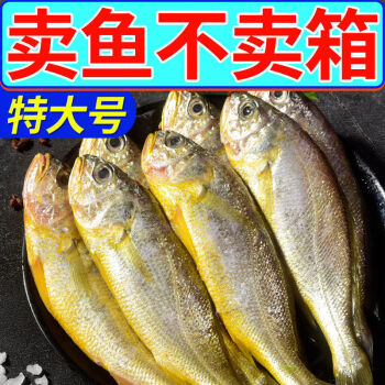 正在小花魚鮮活冷凍大花魚新鮮海鮮水產批發7斤裝很新鮮每斤57條豪華