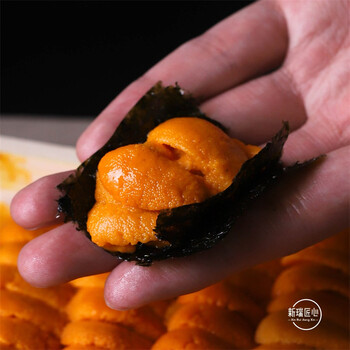 大连马粪海胆黄 特选200g 新鲜日料海胆肉 板胆刺身 日本出口品质 新