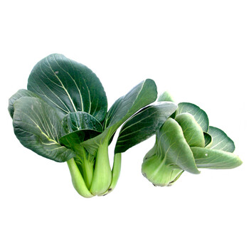 新鲜苏州青菜苔25kg露天霜冻大青菜苔新鲜蔬菜霜冻苏州青青菜苔油菜