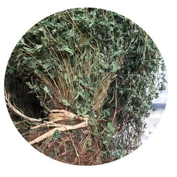 中药材雾水葛 糯米藤 雾水葛 脓见消 咄脓膏 糯米藤 干货 100克