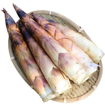 新鲜现挖临安春笋5斤竹笋冬笋雷笋天目山鲜笋农家蔬菜3斤雷笋春笋精选