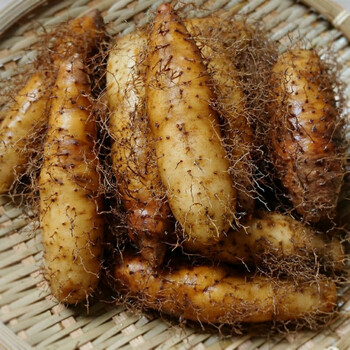 广东毛薯新鲜猪仔薯山药粉糯香田薯茂名特产农家自种甜薯3斤中薯