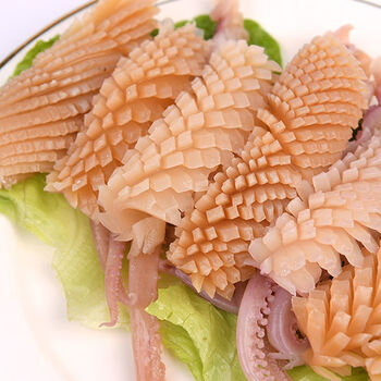 毛重1斤发鱿鱼新鲜火锅食材鲜活冷冻海鲜菜铁板烧自助烧烤串水产 君闵