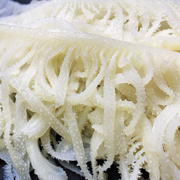 白千层肚白煮牛百叶新鲜冷冻毛肚涮切丝重庆麻辣烫牛肚锦祥橙白千层5