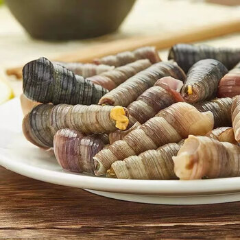 蜜钰鲜海鲜新鲜钉螺螺丝鲜活水产贝类钉螺螺丝肉质饱满干净 五斤