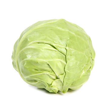 云南高原新鲜包菜新西兰菜现摘现发应季蔬菜圆心铁头新鲜蔬菜3斤市场