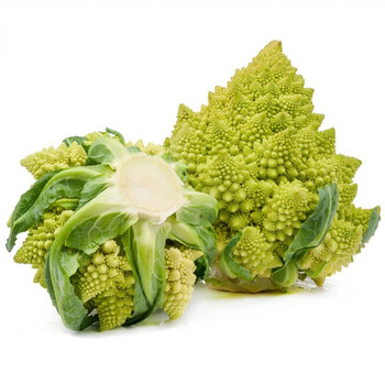 美农汇青梗松花菜种子有机菜花金色花菜种籽四季西兰花彩色花菜宝塔菜花椰菜种子菜园盆栽蔬菜种籽西蓝花种孑罗马宝塔菜种子粒 图片价格品牌报价 京东