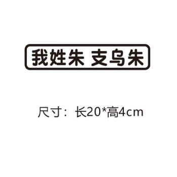 我姓謝洗衣液謝車貼車尾創意搞笑百家姓氏拼音文字貼紙抖音網紅貼 我