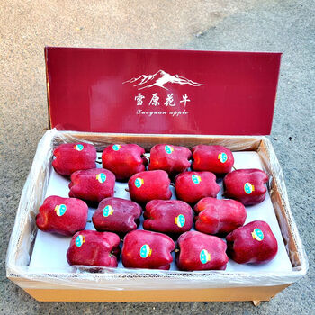 味蕾乐 雪原正宗甘肃天水特级苹果礼盒新疆脆甜多汁整箱当季新摘 8斤