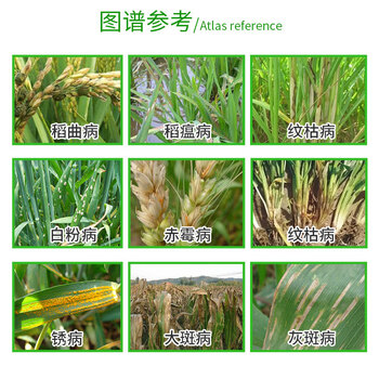 酷宁拜耳稳腾肟菌酯戊唑醇拿敌稳小麦水稻稻瘟病白粉病大斑病杀菌剂1l