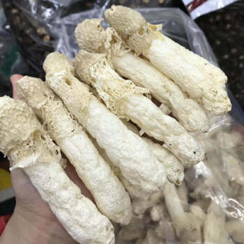 竹笙特產非貴州肉厚爽嫩可口菌菇農家土特產煲湯貴州竹蓀肉特厚100克